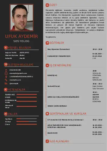 Sosyolog Cv Örnekleri cv indir